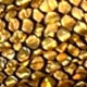 https://img.ltwebstatic.com/images3_pi/2021/11/19/16372855089b7f6e266c1cb9b1058cc65fe4edfd43.jpg
