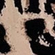 https://img.ltwebstatic.com/v4/j/pi/2025/05/22/8f/1747878475c3ff1d73202ed941437364d68ffce292.jpg
