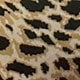 https://img.ltwebstatic.com/v4/j/pi/2025/06/17/e1/1750124588d9c8a74a935fdaf5fb9949ef4a472177.jpg
