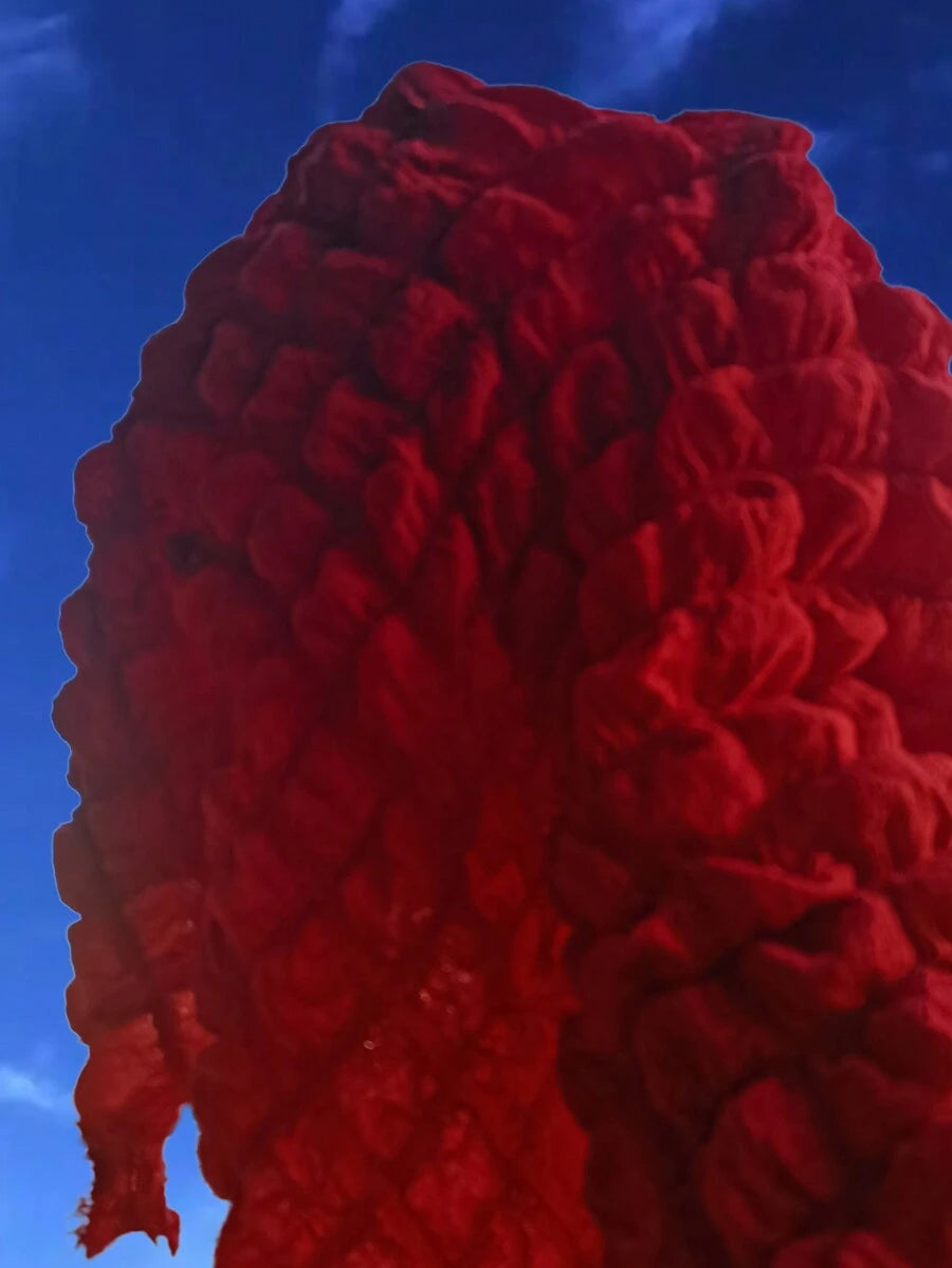https://img.ltwebstatic.com/images3_pi/2024/11/27/f0/1732693298f7264c72c1d21e9f87f5e5739da46192_thumbnail_900x.webp