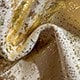 https://img.ltwebstatic.com/v4/j/pi/2025/07/24/bb/17533251546d9c5eec3b2238a60d95e580039101fb.jpg